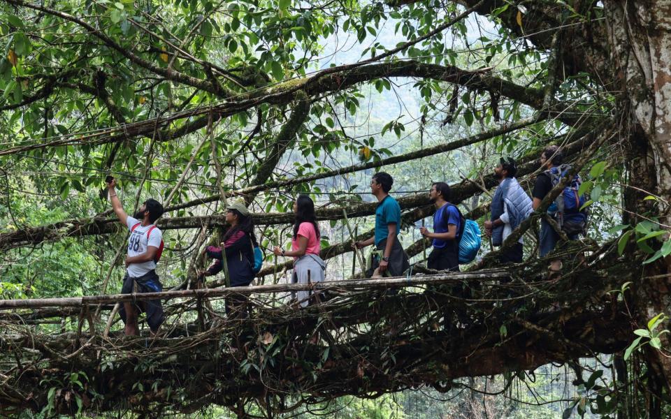 living root bridge Nongriat trek Meghalaya india holidays tours - Alamy