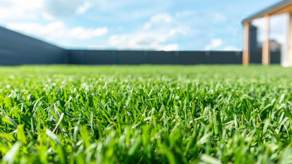 A lawn in focus with a house and blue sky in the background