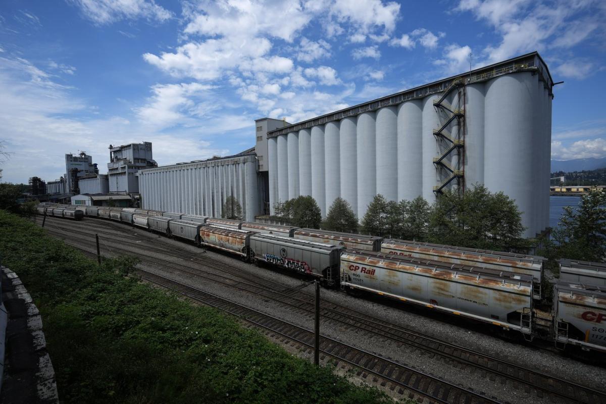 Picket lines go up in ‘high leverage’ strike at six Metro Vancouver grain terminals