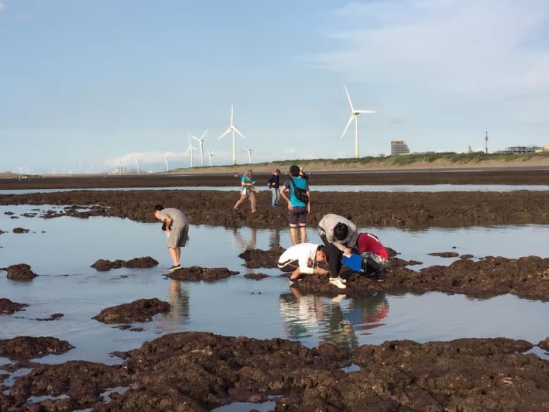 ▲珍愛藻礁公投連署份數一舉超過安全門檻，並朝50萬份邁進，國民黨持續兵分3路助攻。（圖／翻攝自「珍愛桃園藻礁」臉書）