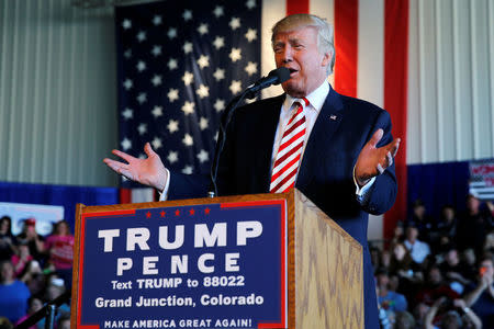 Republican presidential nominee Donald Trump holds a campaign rally in Grand Junction, Colorado, U.S. October 18, 2016. REUTERS/Jonathan Ernst