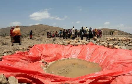 Displaced people gather at an artificial water pan near Habaas town of Awdal region. REUTERS/Feisal Omar