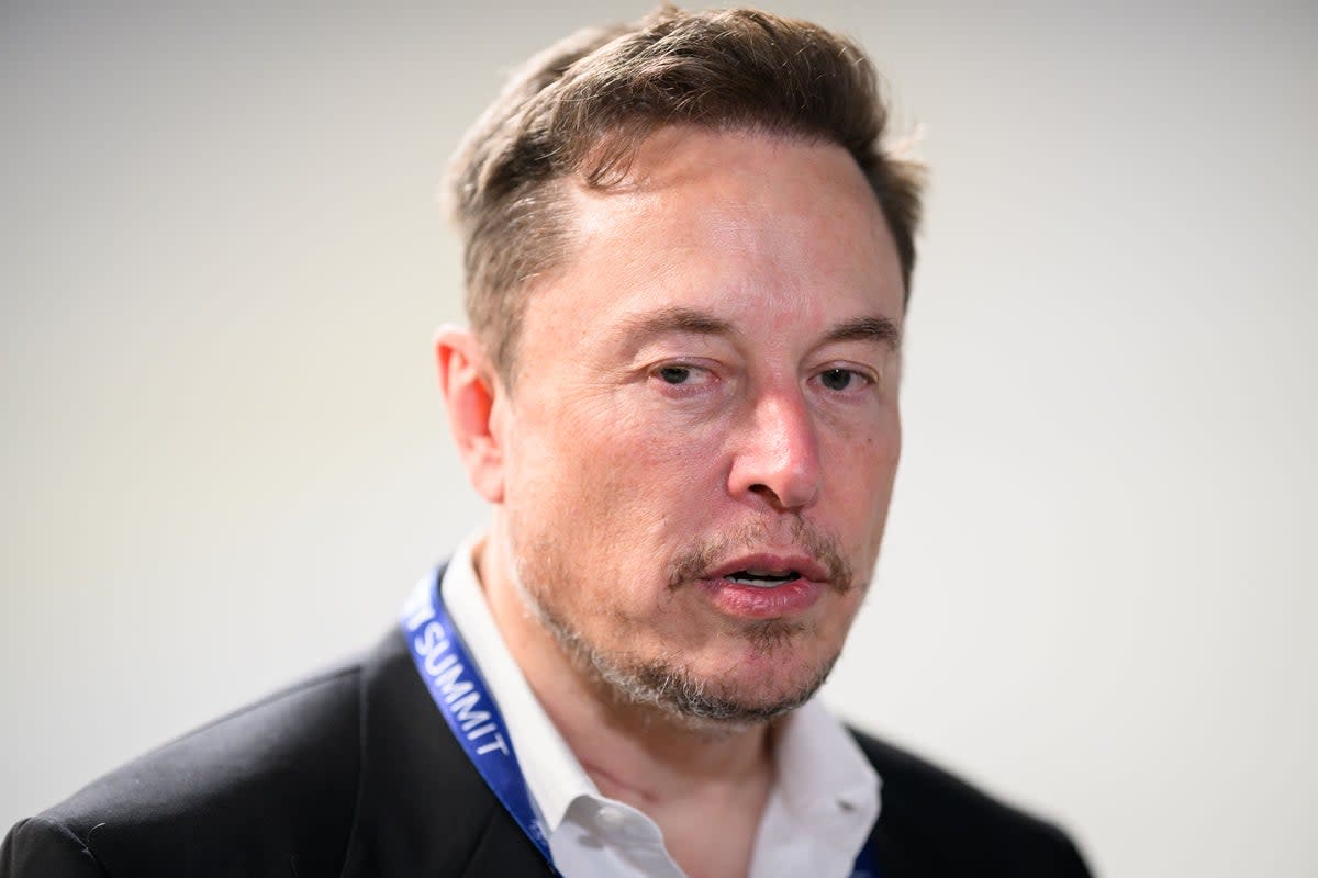Tesla boss Elon Musk has revealed plans to cut jobs (Leon Neal/PA) (PA Wire)