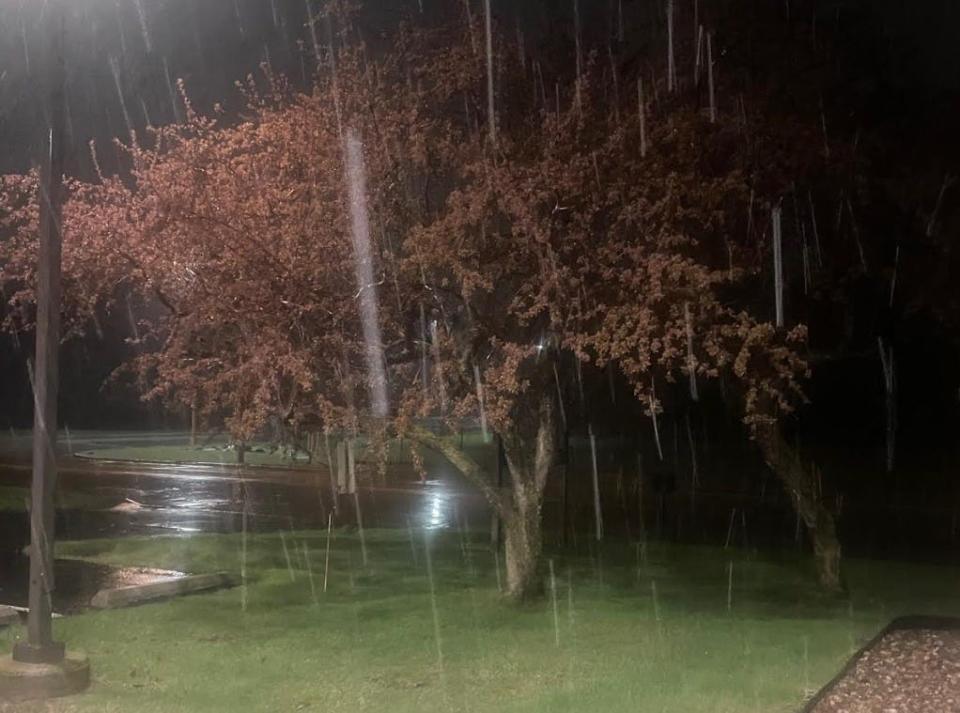 A blooming tree stands among snowfall on May 1, 2023 in Green Bay, Wis.