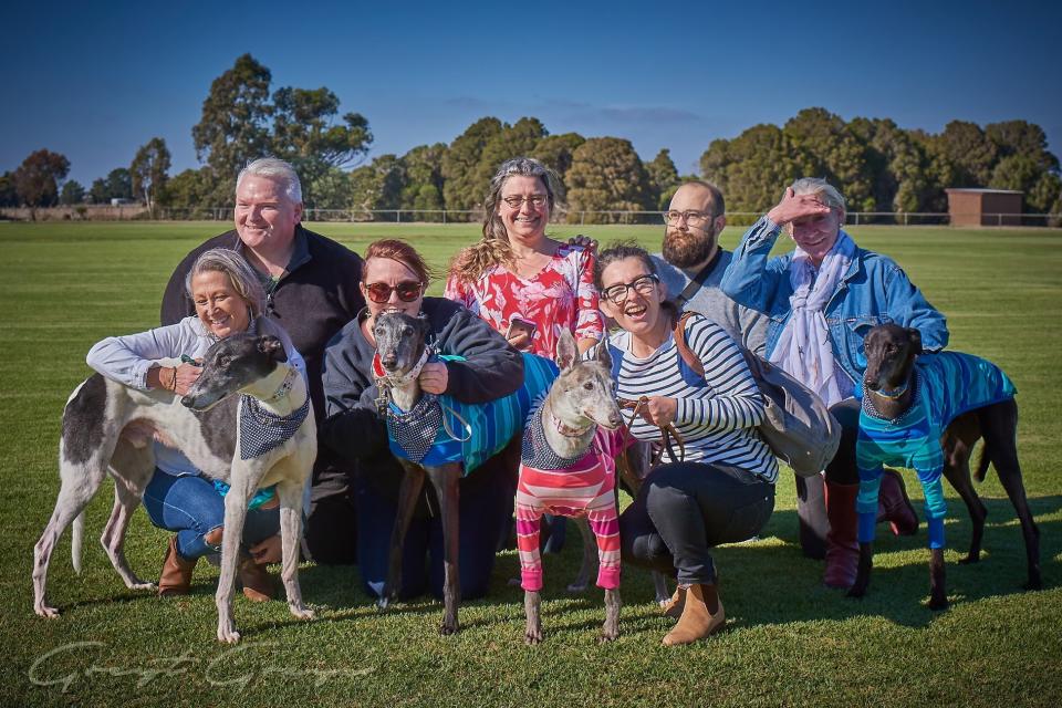 Four of the five greyhounds who left quarantine on Friday morning pictured with their foster carers.