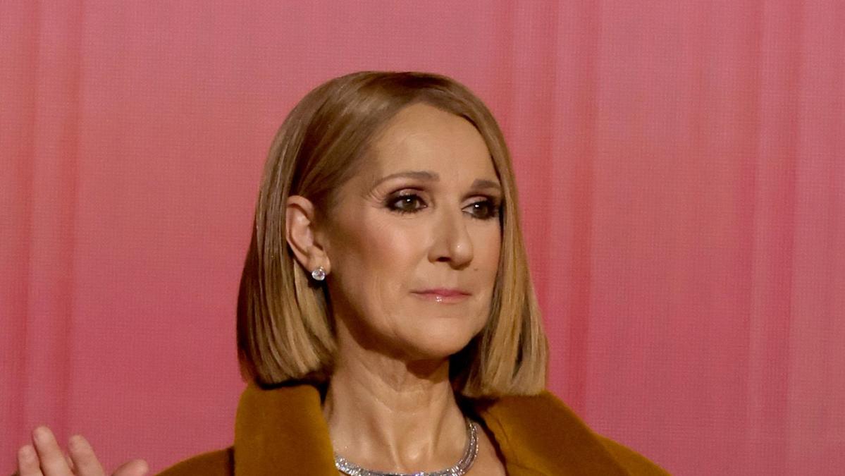 Céline Dion Has Fans Emotional After She Shares an Update on the Future of  Her Career