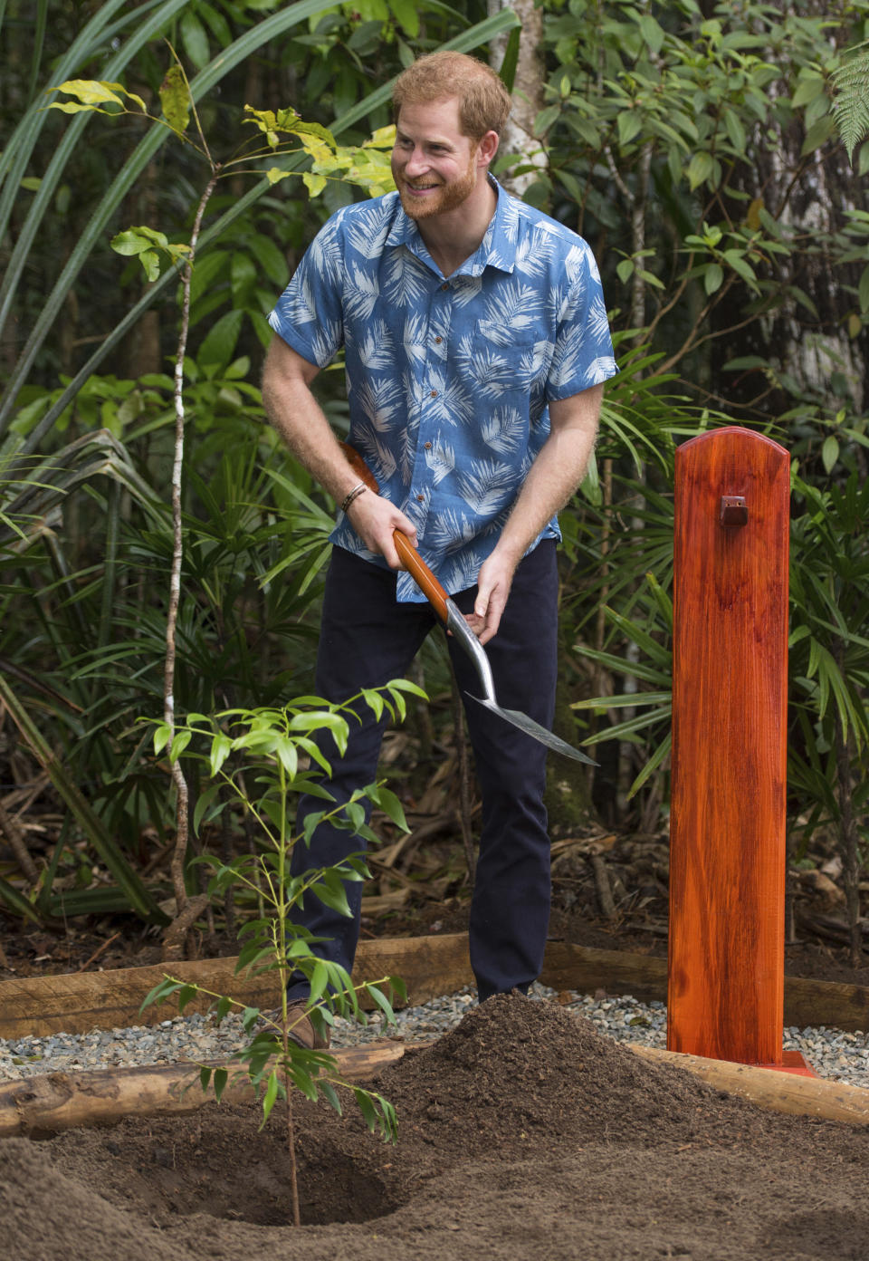 <p>Während ihrer zweiwöchigen Auslandsreise scheuten sich die Royals nicht davor, selbst Hand anzulegen. Unter anderem pflanzte Prinz Harry einen Baum in Fiji. Der Spaten, welchen er hierfür nutzte, wurde auch schon von der Queen während ihres Fiji-Besuchs 1953 benutzt. (Bild: AP Photo) </p>