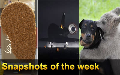 Snapshots: Week of June 3