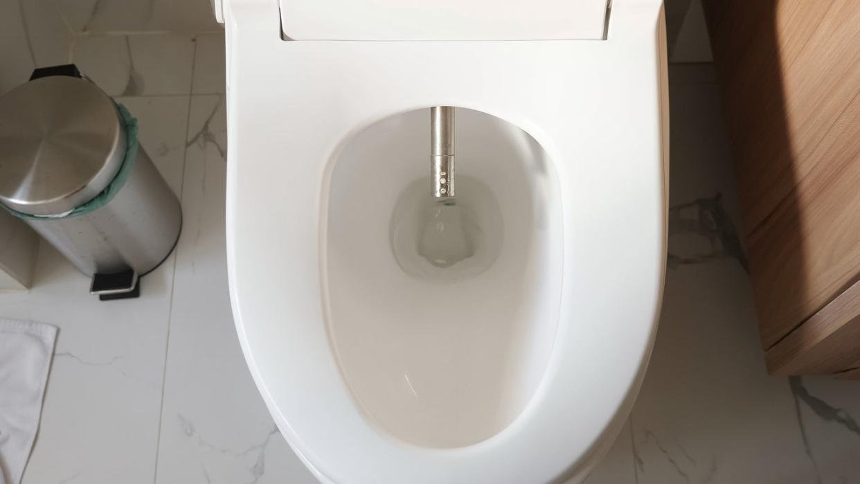 Toilet With Bidet Spray Nozzle