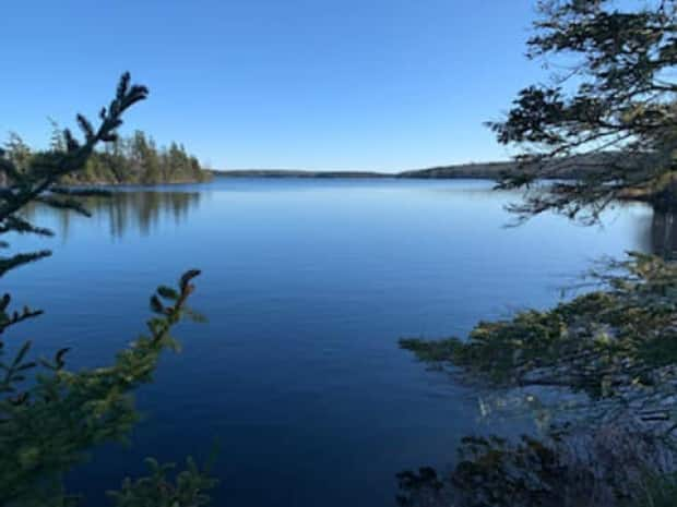 The view of Porters Lake from one of the trails in Porters Lake Provincial Park.