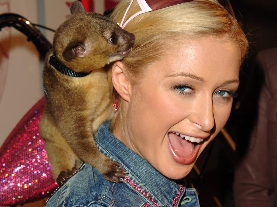 Paris Hilton und Wickelbär Baby Luv