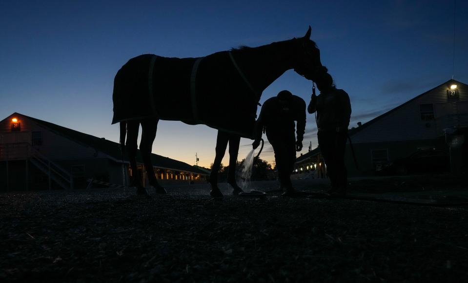 A horse gets bathed early morning on Churchill Downs' backside Wednesday morning May 3, 2023, in Louisville, Ky.
