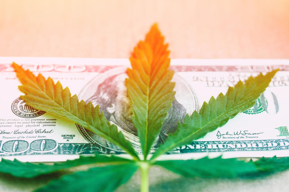 A marijuana leaf on top of a $100 bill