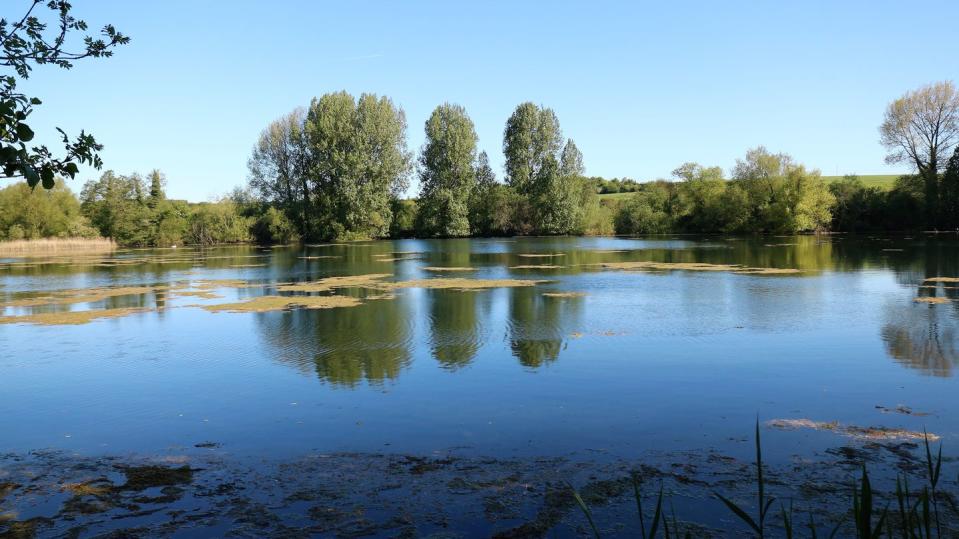 langford lakes