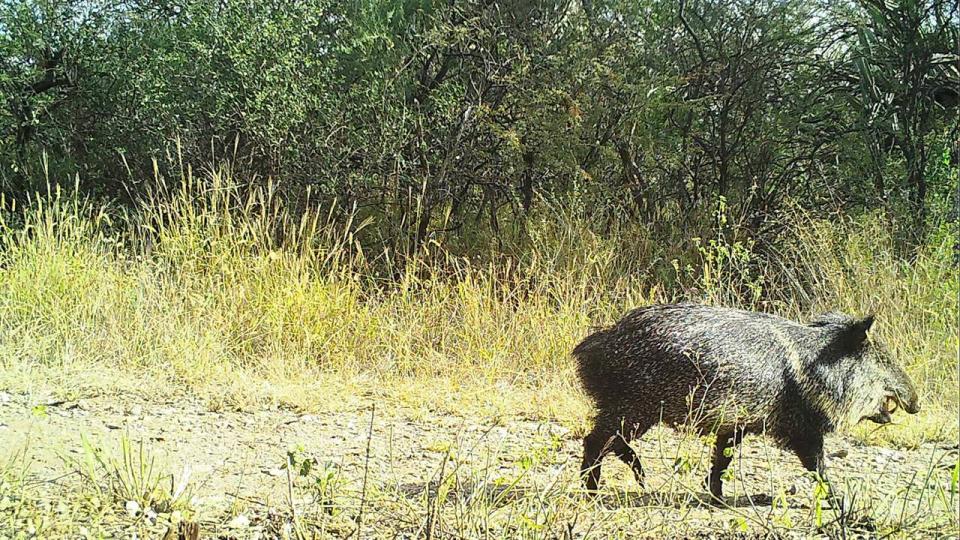 (FOTOS) La estancia más grande de Sudamérica se convertirá en parque nacional