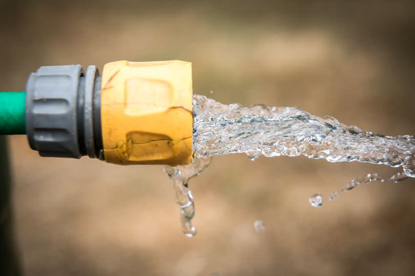 Not watering a lawn during hot weather is a mistake, according to experts