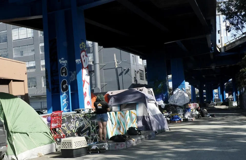 A homeless encampment below a freeway overpass in San Francisco, California. JOHN G MABANGLO/EPA-EFE/Shutterstock