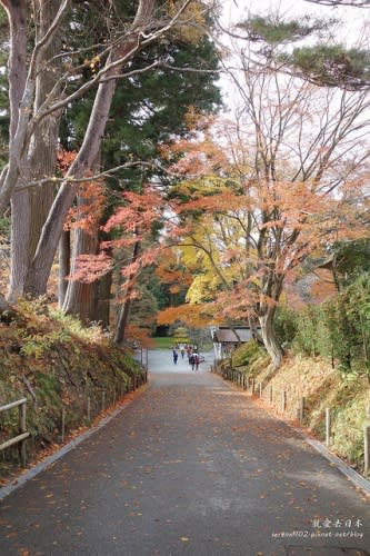 【右上就愛日本旅遊】【日本東北-岩手】東北賞楓疾行（D8-3）中尊寺金色