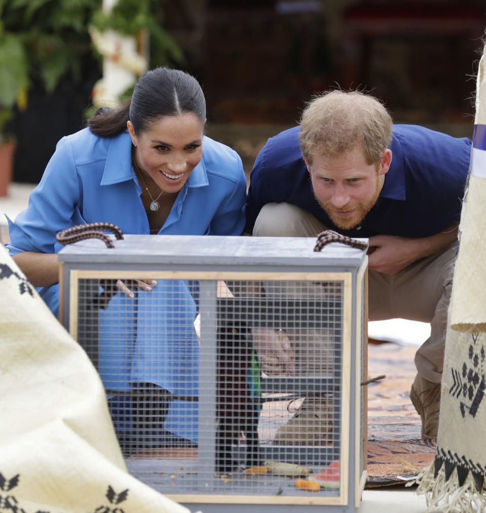 <p>This is the couple's last day in Tonga before returning to Sydney on their royal tour. </p>