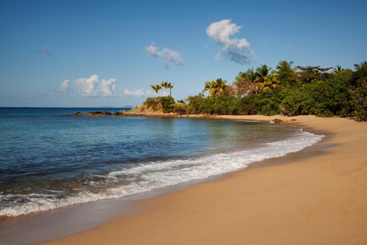 Tranquil beach landscape, Vieques, Puerto Rico, Caribbean