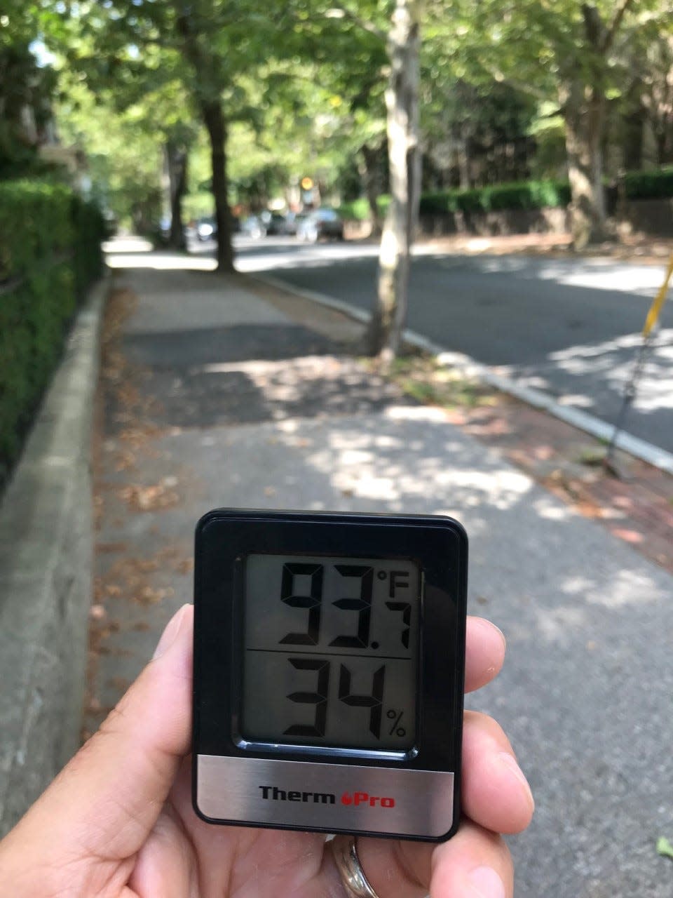 On the afternoon of July 22, the temperature on leafy Benefit Street on the East Side of Providence was 93 degrees, 10 degrees cooler than in Lower South Providence, where there are few trees.