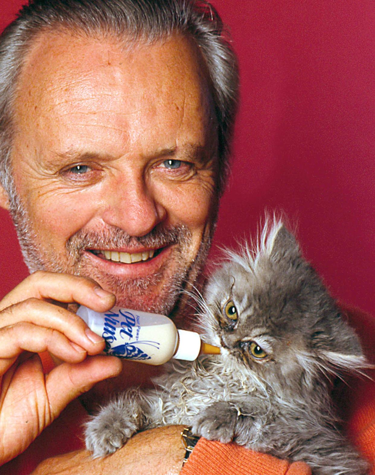 https://www.gettyimages.co.uk/detail/news-photo/award-winning-actor-anthony-hopkins-feeding-kitten-at-his-news-photo/1206086588
