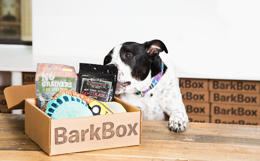 Best last-minute gifts 2021: BarkBox