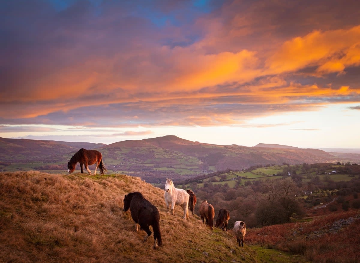 The Brecon Beacons are also to drop the old logo of a fiery greenhouse-gas emitting beacon (Getty)