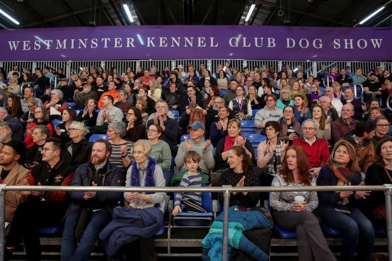 Audience members cheer during the Masters Agility Championship during the Westminster Kennel Club Dog Show in New York