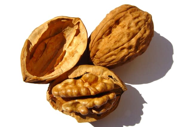 Studio shot of walnuts on white background.