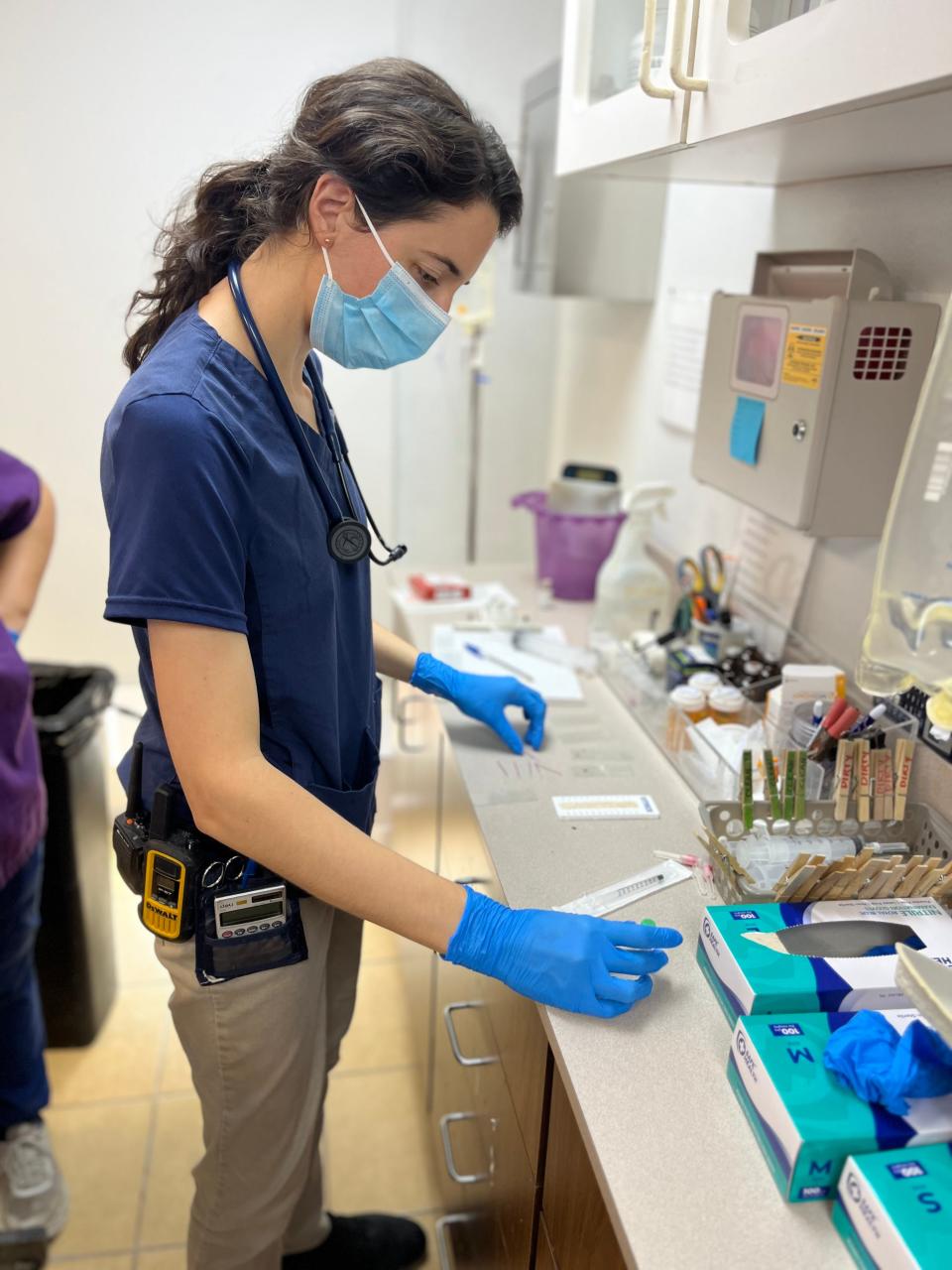 Save our Seabirds veterinarian Maria Passarelli says she has received approximately 30 birds this year with suspected rodenticide poisoning, including about 20 red-tailed hawks.