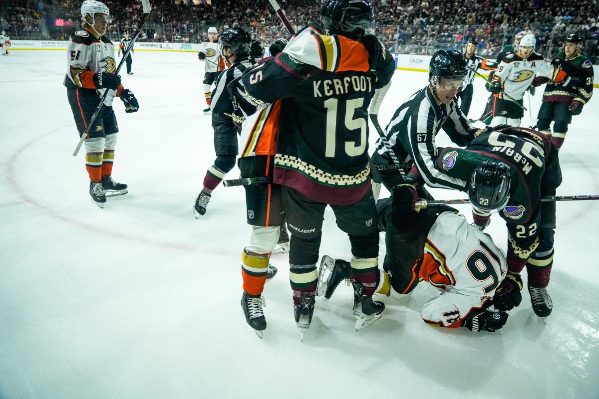 Ducks' Trevor Zegras listed as day-to-day after big hit against Coyotes