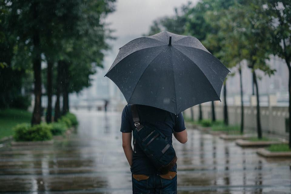 fun facts petrichor man holding umbrella