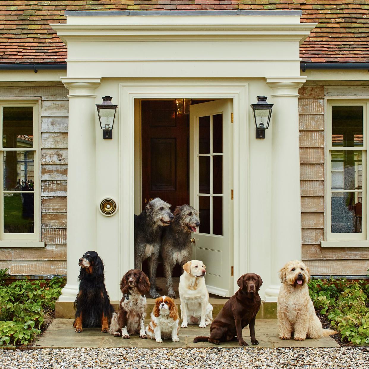 Formerly the kennels for the foxhounds of the Goodwood Hunt, Hound Lodge is one of the distinctive homes available through Masterpiece Estates