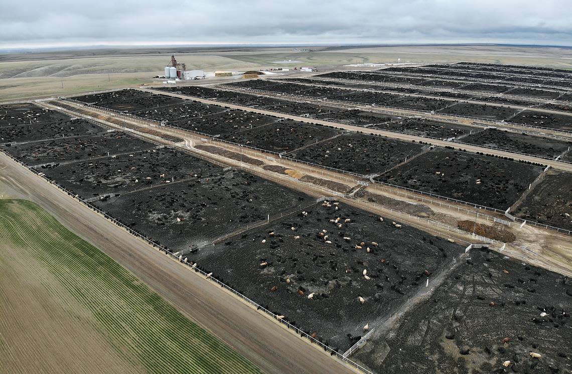 The Easterday Ranches North Lot cattle feedlot was near Eltopia in rural Franklin County.