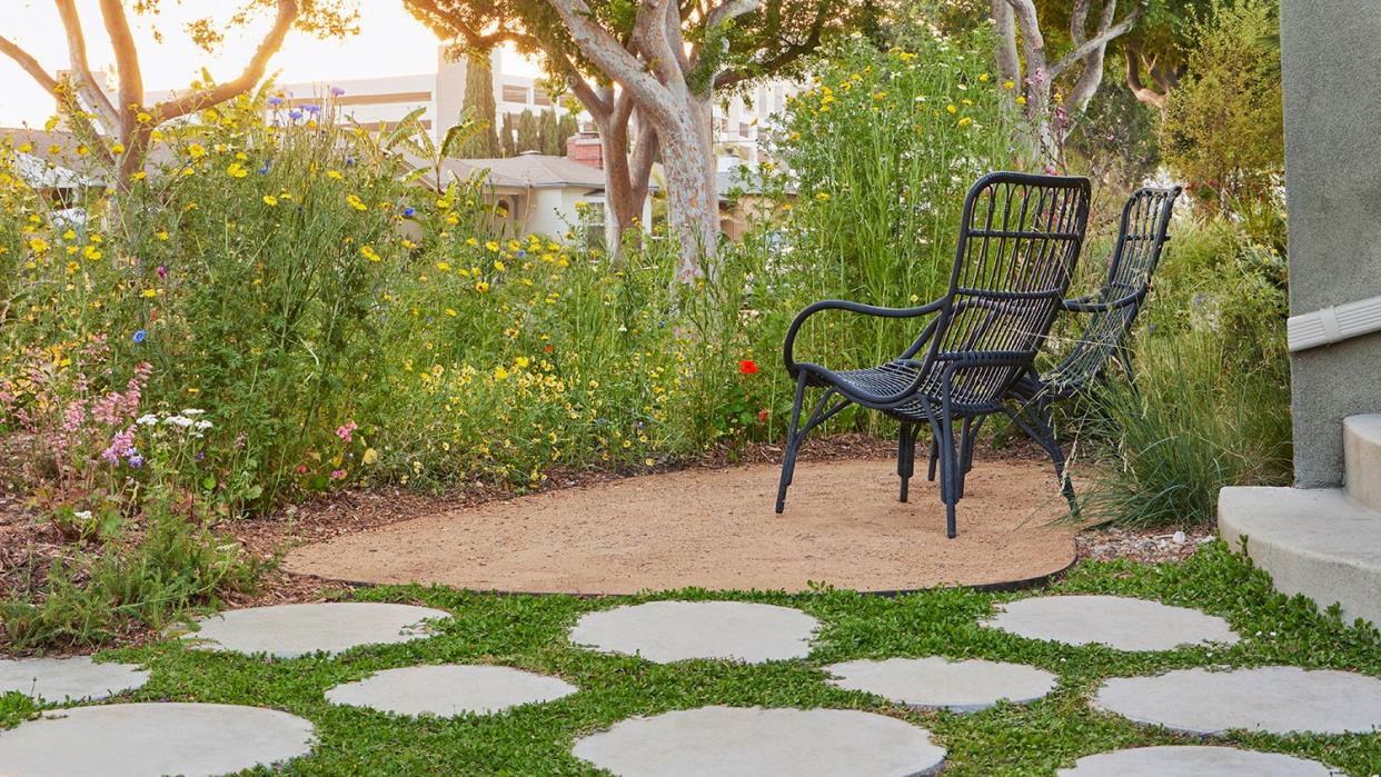 wildflower meadow by a backyard patio