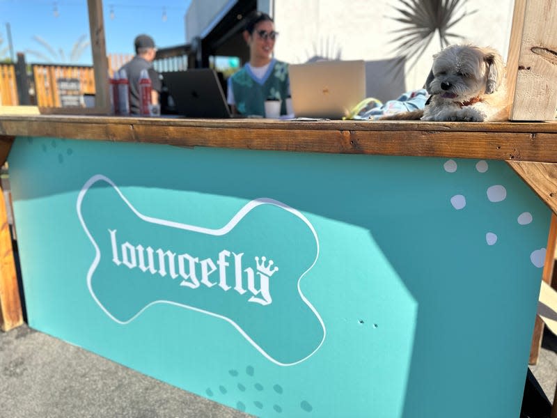 Loungefly Pets