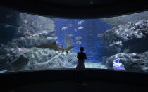 A visitor tours tours the Sea Life Bangkok Aquarium in Bangkok, Thailand, Tuesday, June 2, 2020. Thai authorities have allowed the aquarium and other businesses to reopen as they selectively ease restrictions protecting against the coronavirus. (AP Photo/Sakchai Lalit)