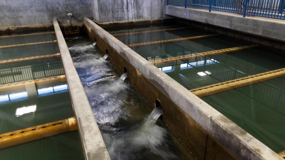 Water flowing through the filtration and treatment systems at Veolia’s Marden Garden Water Treatment Plant is tested and monitored before it is distributed to customers in the Boise area.