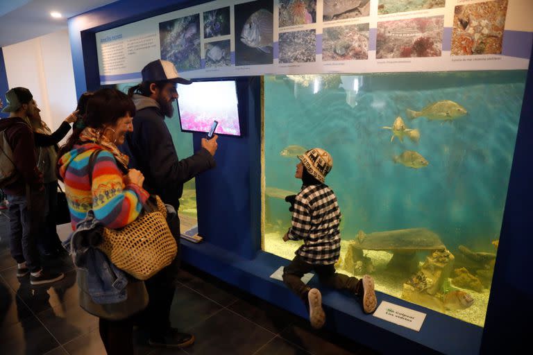 Mucho público también se sumó a disfrutar de museos y actividades previstas en "La Noche del Turismo"