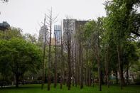 The Empire State Building is seen towering over "Ghost Forest" an art installation designed by artist Maya Lin in Madison Square Park in New York