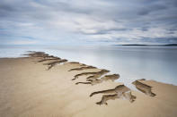 <p>The edge of the coast in Silverdale, Lancashire, cracks and splinters as it meets the sea. (Tony Higginson)</p>