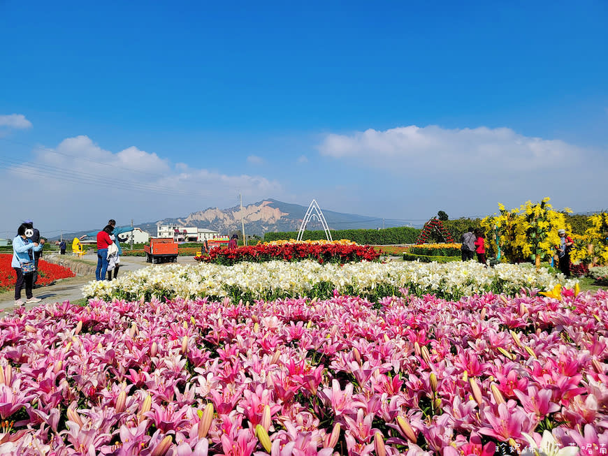 台中后里｜中社觀光花市