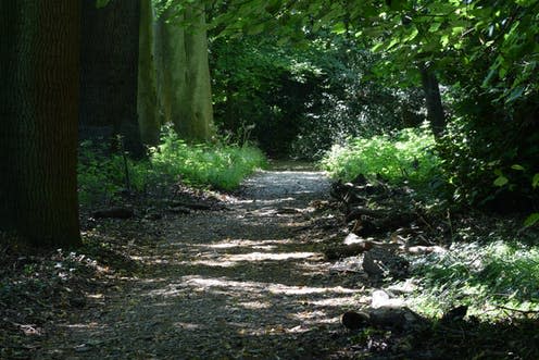 <span class="caption">Charles Darwin's ideas about diversity of plants being stronger together is inspiring today's ecologists: here the Sand Walk outside Darwin's home in Kent.</span> <span class="attribution"><span class="source">Tim Knight/Shutterstock</span></span>