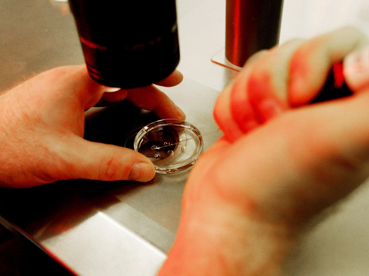 Researchers performed the experiments on lab-made embryos: Getty