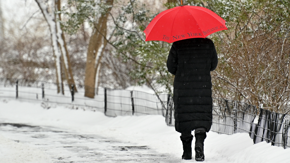 New York City could see its biggest snowstorm in two years (Dia Dipasupil/Getty Images)