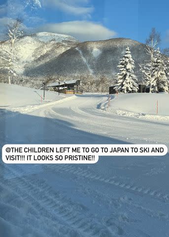<p>Martha Stewart/Instagram</p> Martha Stewart's relatives traveled to Japan for Christmas