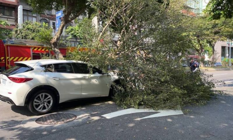 ▲中央分隔島上一棵路樹突然倒塌，恰好壓在一輛行經的自小客車上，導致擋風玻璃破碎，所幸事故中無人受傷。（圖／翻攝畫面）