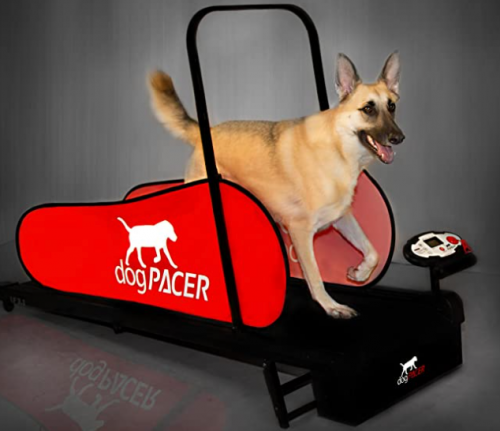 dogPacer Full Size Treadmill