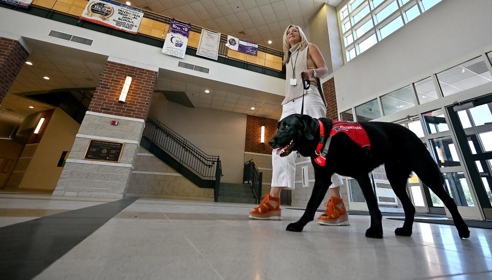 STURBRIDGE - Tantasqua Regional Senior High School assistant principal Beth Johnson does her rounds with her NEADS dog JD.